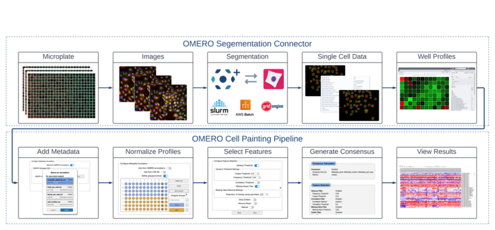 omero-web plugin for analysis management